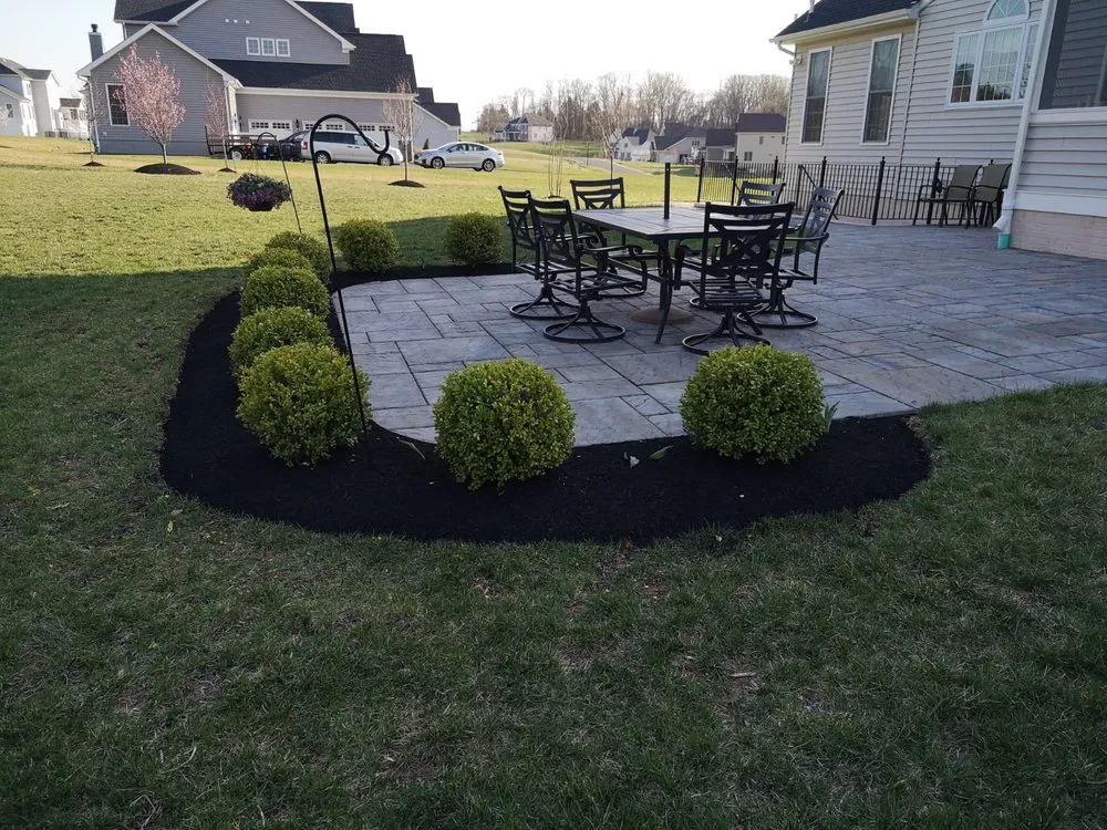 Reliable yard cleanup service in Greater Landover, MD by Barrios Services