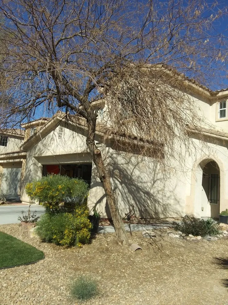 Custom landscape design in Las Vegas, NV - Barrios Services