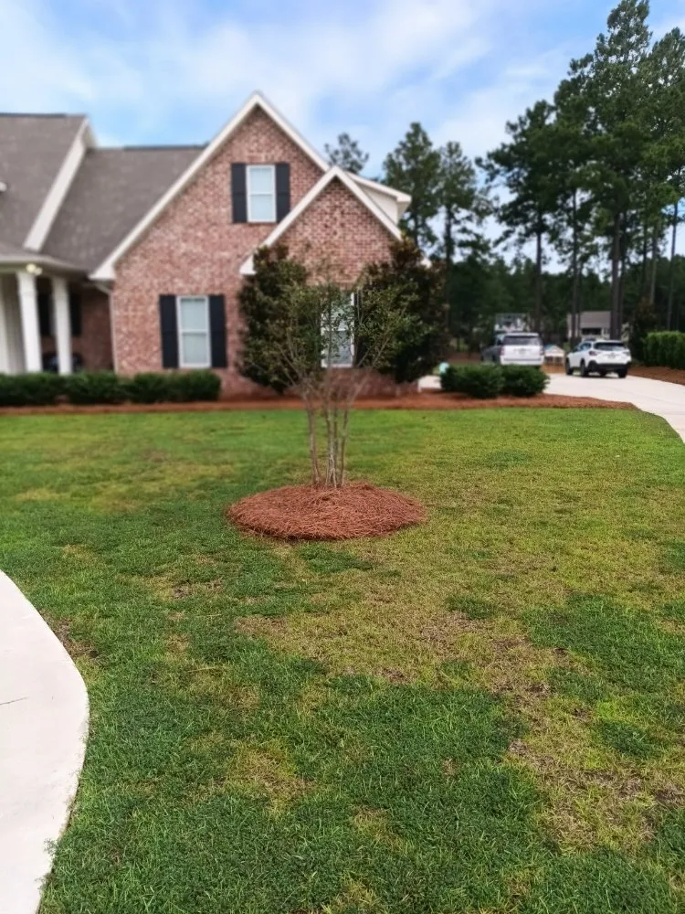 Professional lawn care service for outdoor upgrades across Columbia, MS - Barris Quality Landscaping