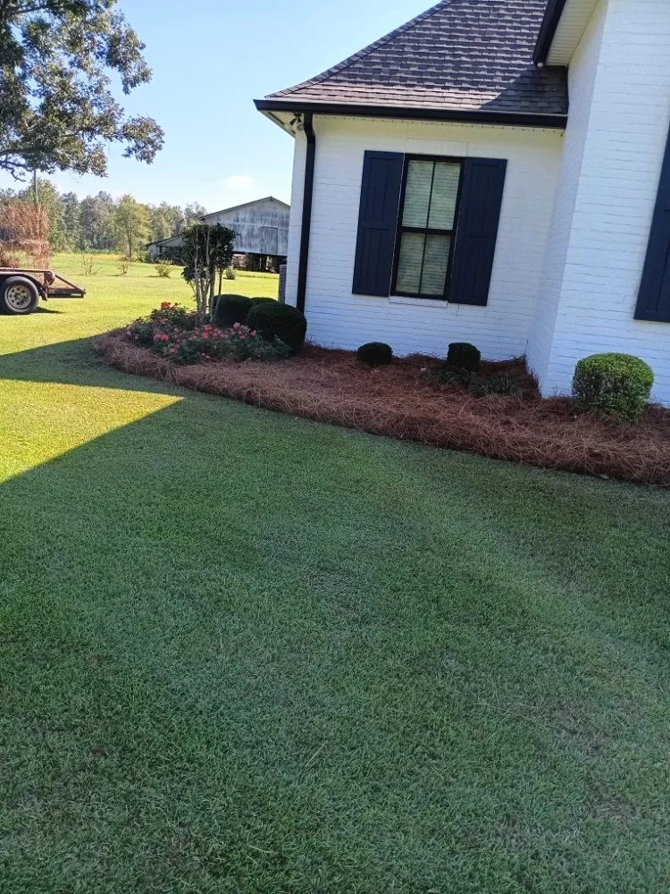 Expert yard cleanup service near you across Columbia, MS - Barris Quality Landscaping