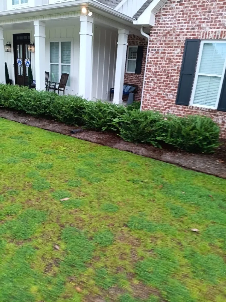 Top-rated landscape design for year-round maintenance in Columbia, MS by Barris Quality Landscaping