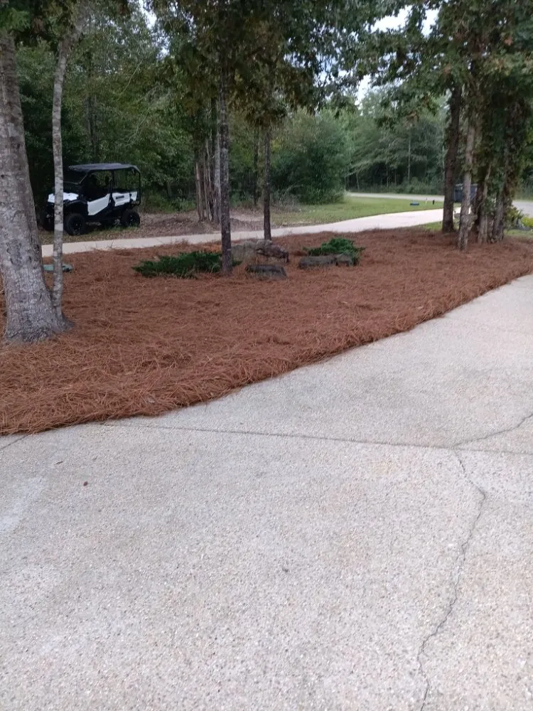 Custom yard cleanup service near you across Columbia, MS - Barris Quality Landscaping