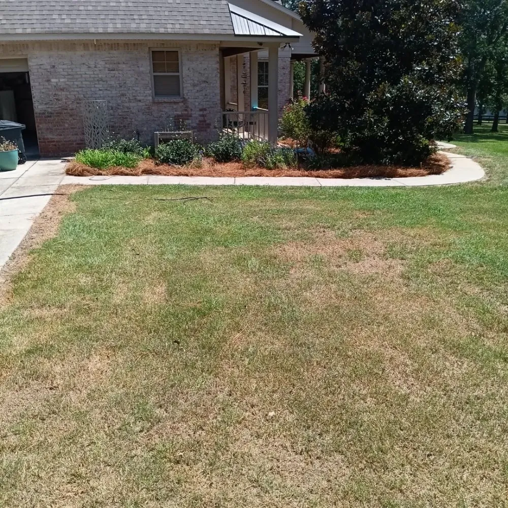 Professional yard maintenance for homes across Columbia, MS - Barris Quality Landscaping