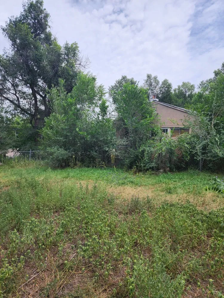 Local landscaping services for year-round maintenance in Colorado Springs, CO by Barron Landscape