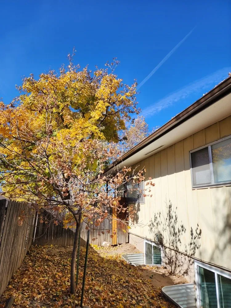 Professional residential landscaping in Colorado Springs, CO - Barron Landscape