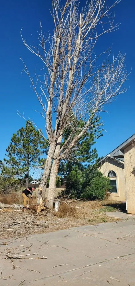 Custom yard maintenance experts serving Colorado Springs, CO - Barron Landscape