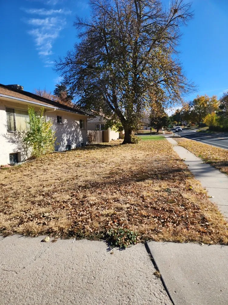 Local landscape installation for residential properties in Colorado Springs, CO by Barron Landscape