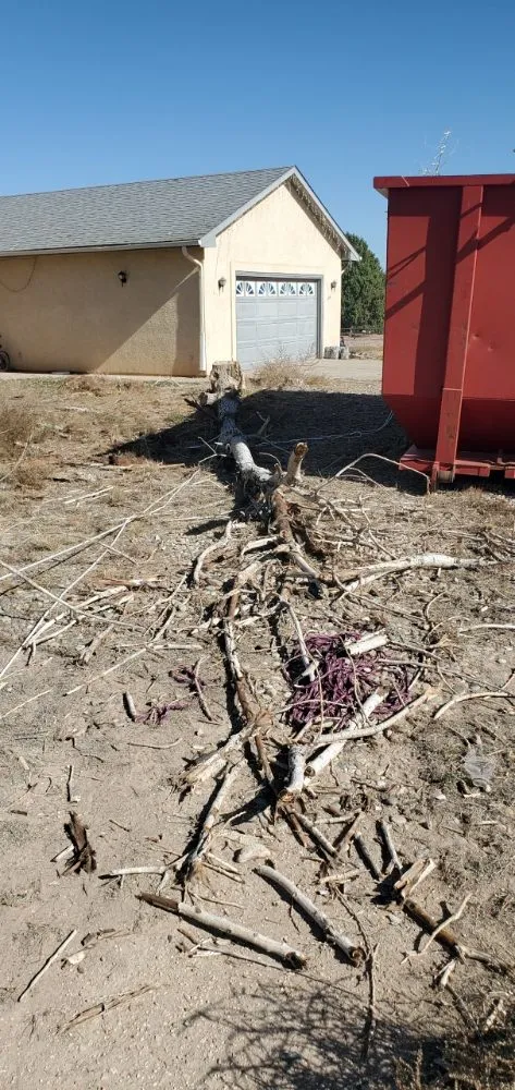 Top-rated lawn mowing service experts serving Colorado Springs, CO - Barron Landscape