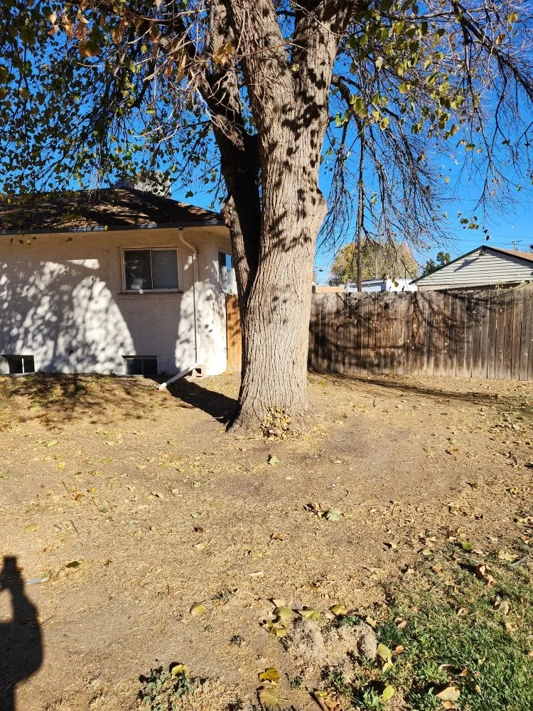 Affordable outdoor landscaping for outdoor upgrades across Colorado Springs, CO - Barron Landscape