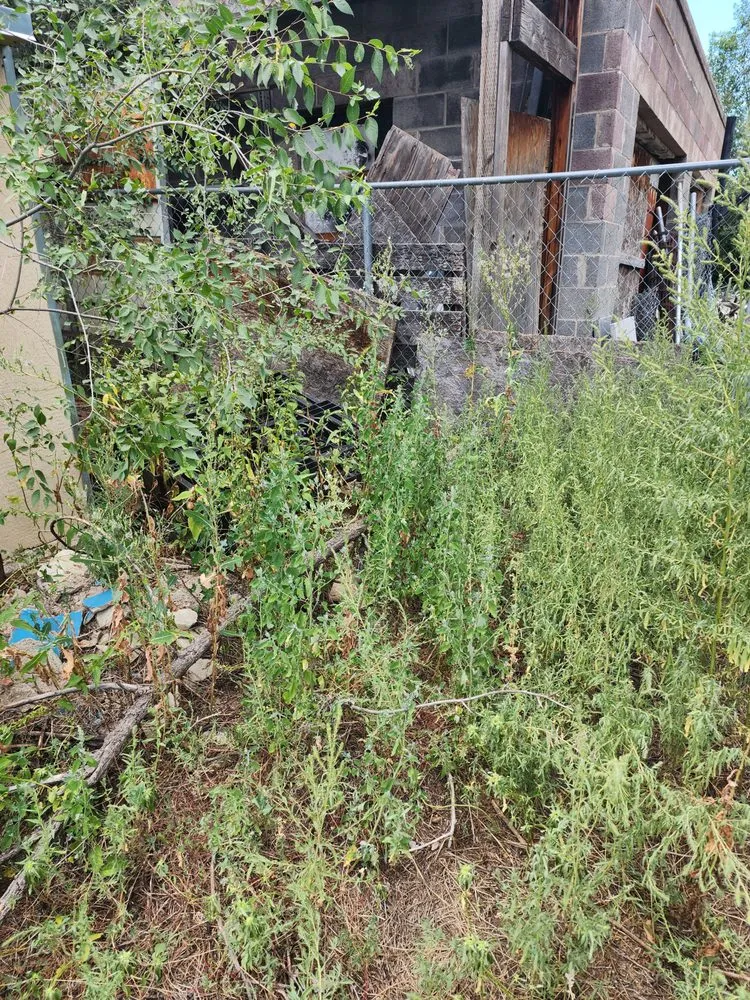 Affordable yard cleanup service in Colorado Springs, CO - Barron Landscape