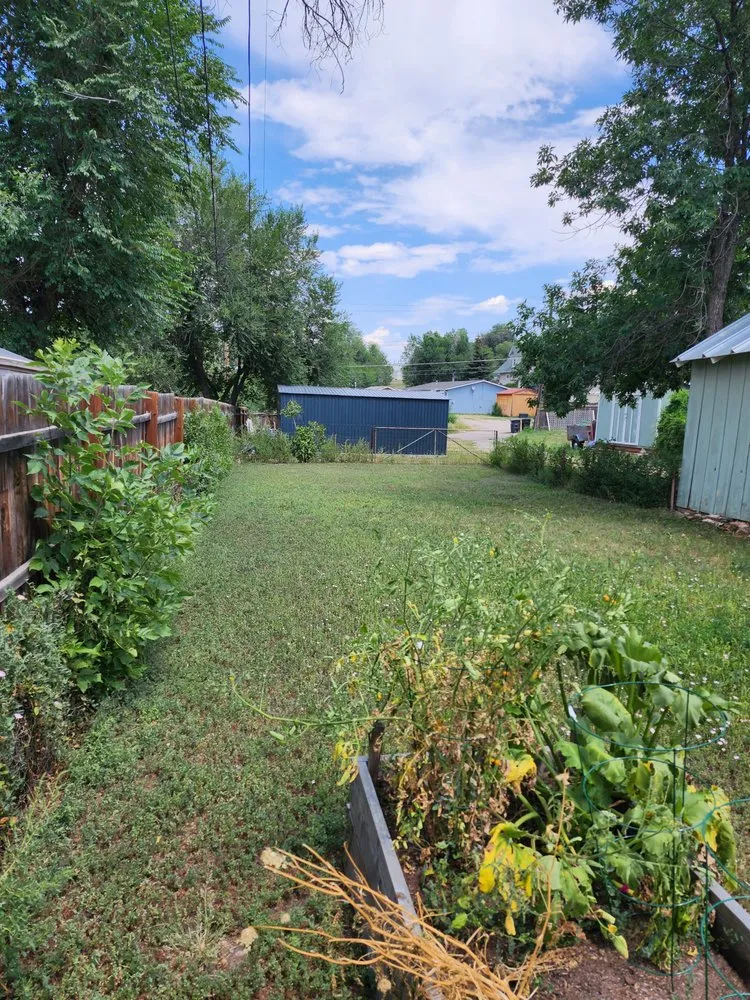 Expert lawn care service in Colorado Springs, CO by Barron Landscape