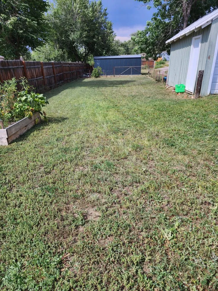 Local landscape installation experts serving Colorado Springs, CO - Barron Landscape