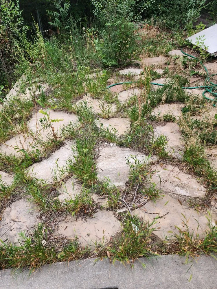 Affordable landscape installation in Colorado Springs, CO by Barron Landscape