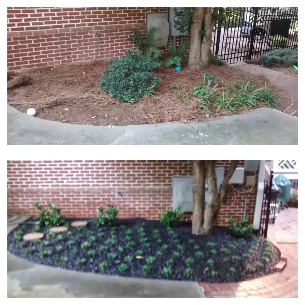 Custom yard maintenance for outdoor upgrades across Douglasville, GA - Barron Landscaping