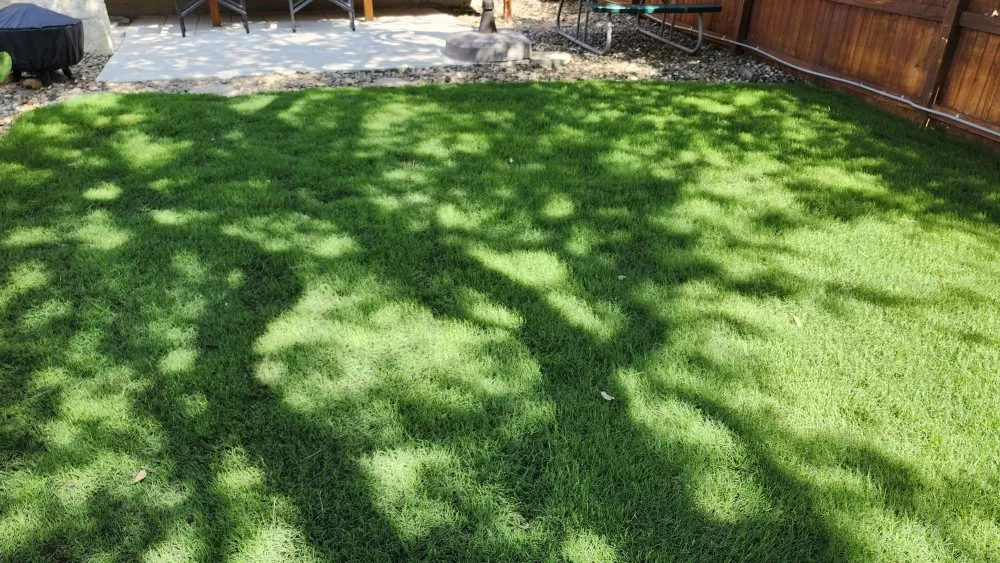 Expert landscape design for homes across San Antonio, TX - Barron Landscaping Service