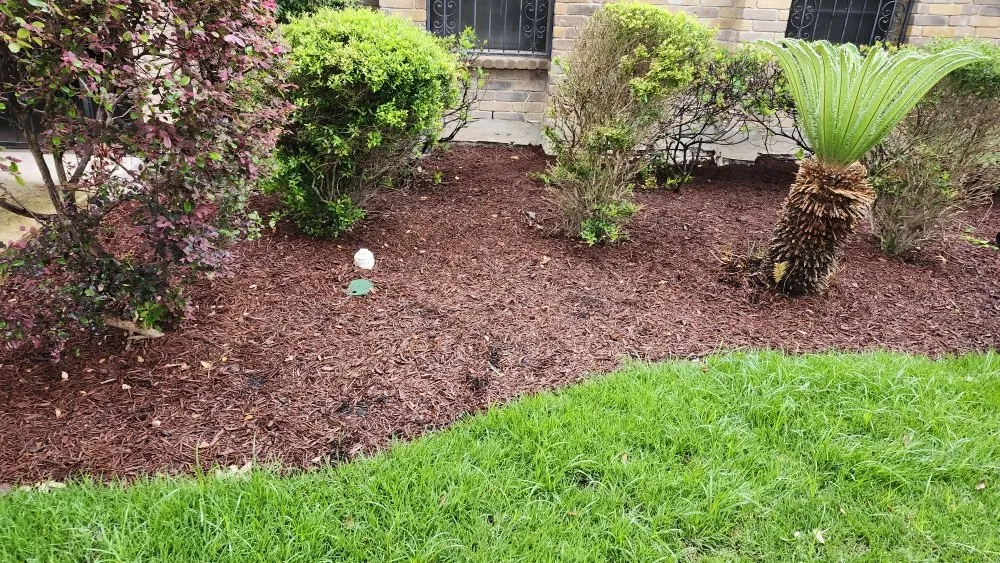 Custom lawn care service in San Antonio, TX - Barron Landscaping Service