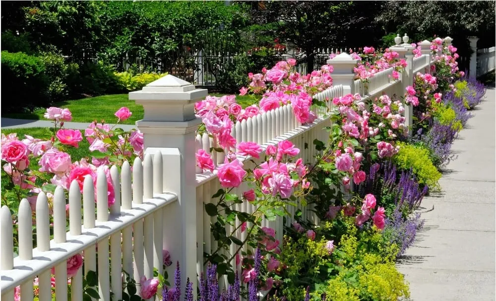 Top-rated yard cleanup service in Vancouver, WA - Barron Landscaping