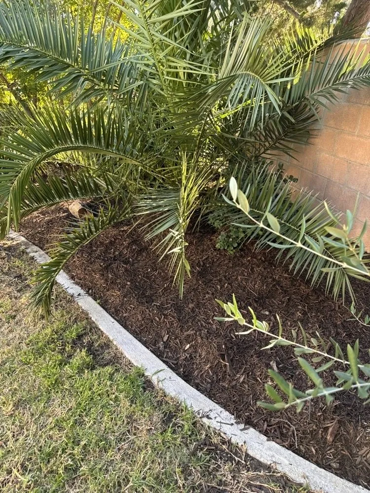 Top-rated yard cleanup service for outdoor upgrades in Parrish, FL by Barrons Gardening Service