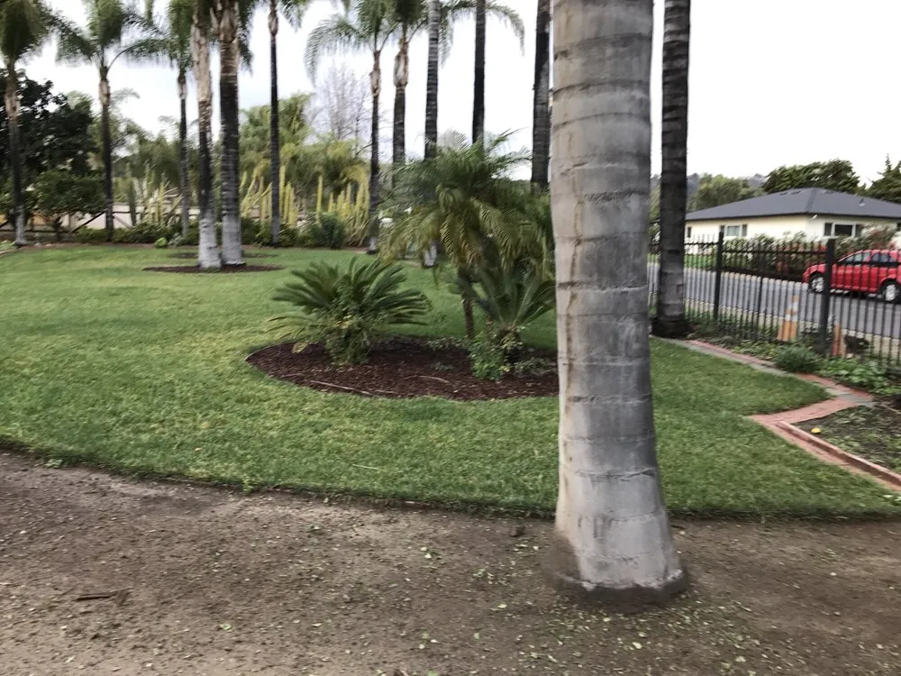 Top-rated residential landscaping experts serving Parrish, FL - Barrons Gardening Service