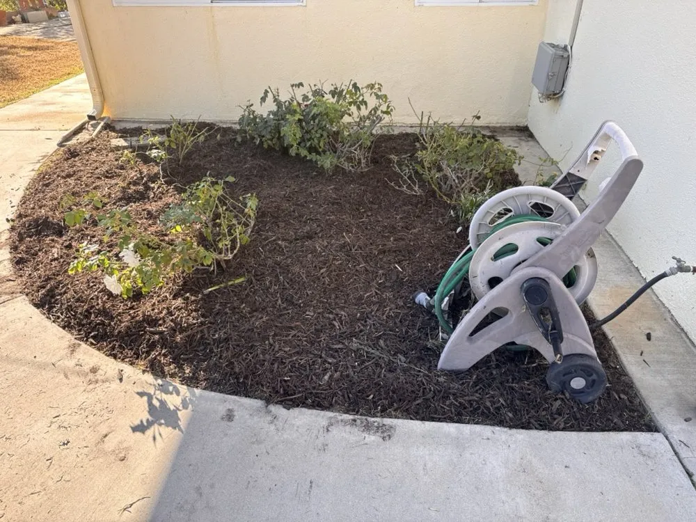 Trusted yard maintenance near you in Parrish, FL by Barrons Gardening Service