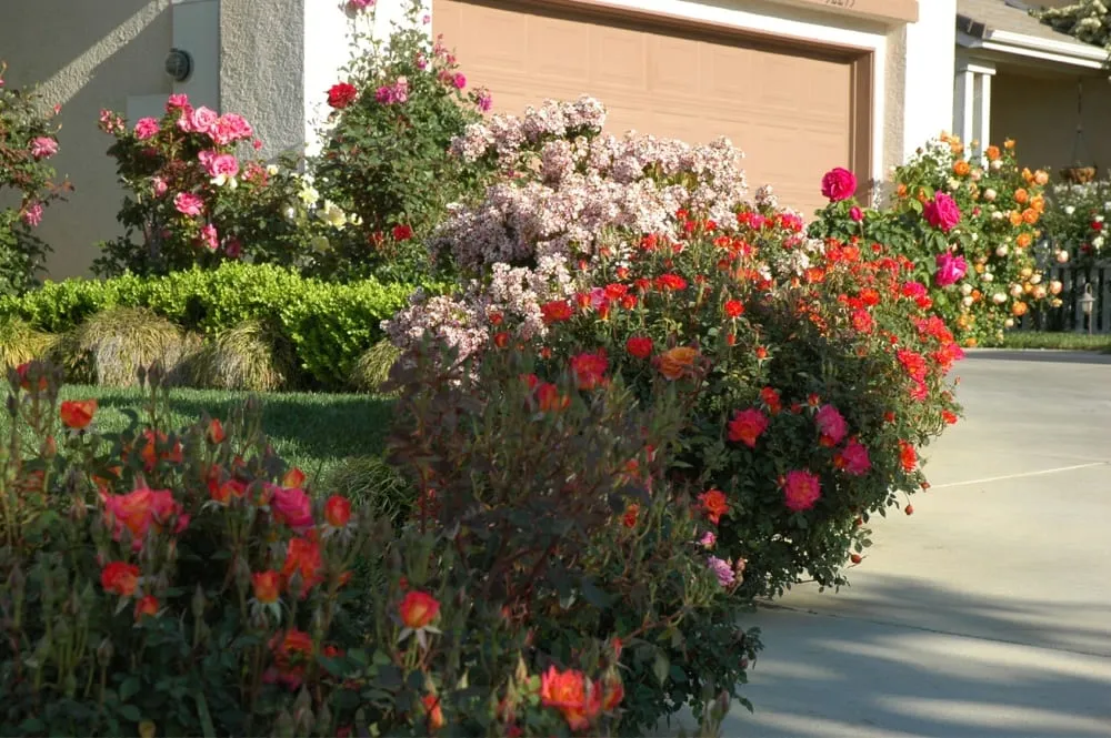 Local yard cleanup service for residential properties in Parrish, FL by Barrons Gardening Service
