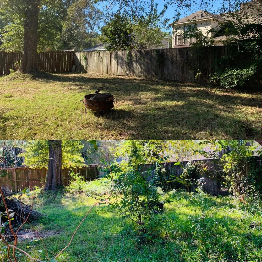 Reliable landscaping services experts serving Humble, TX - Barron’s Landscape