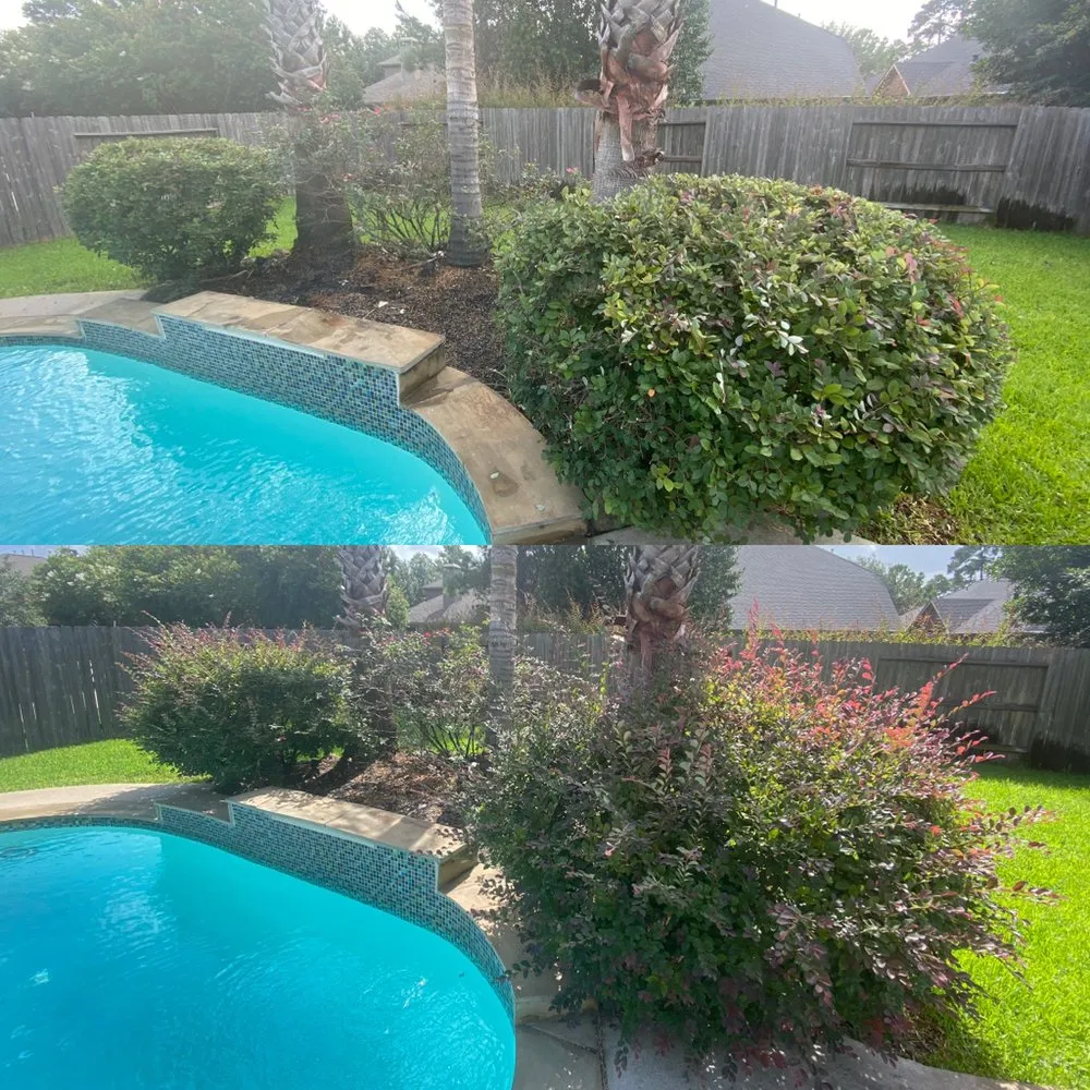 Local garden landscaping for year-round maintenance across Humble, TX - Barron’s Landscape