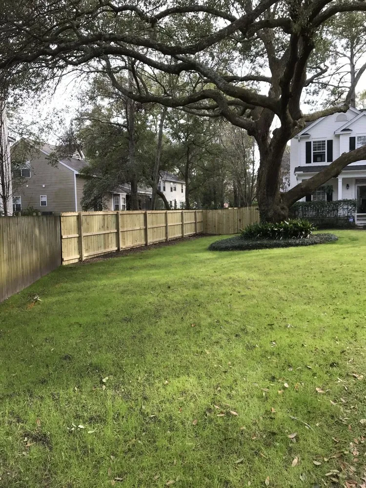 Trusted lawn care service for outdoor upgrades in Charleston, SC by Barron's Landscaping