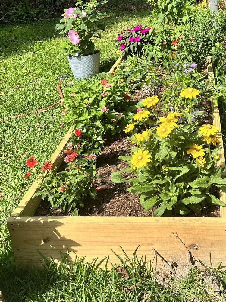 Custom outdoor landscaping in Charleston, SC - Barron's Landscaping