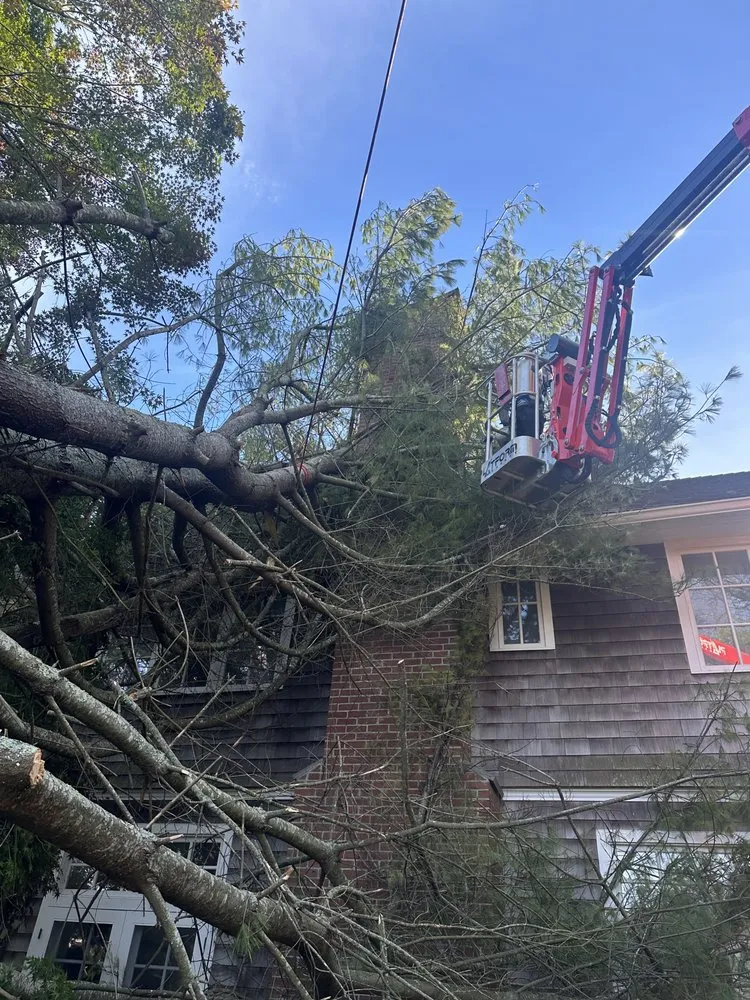 Trusted yard maintenance experts serving East Hampton, NY - Barros Home Services