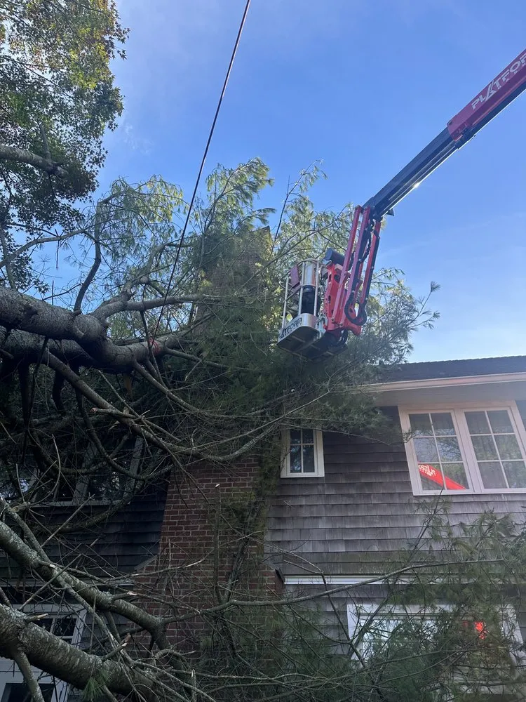 Reliable yard maintenance in East Hampton, NY - Barros Home Services