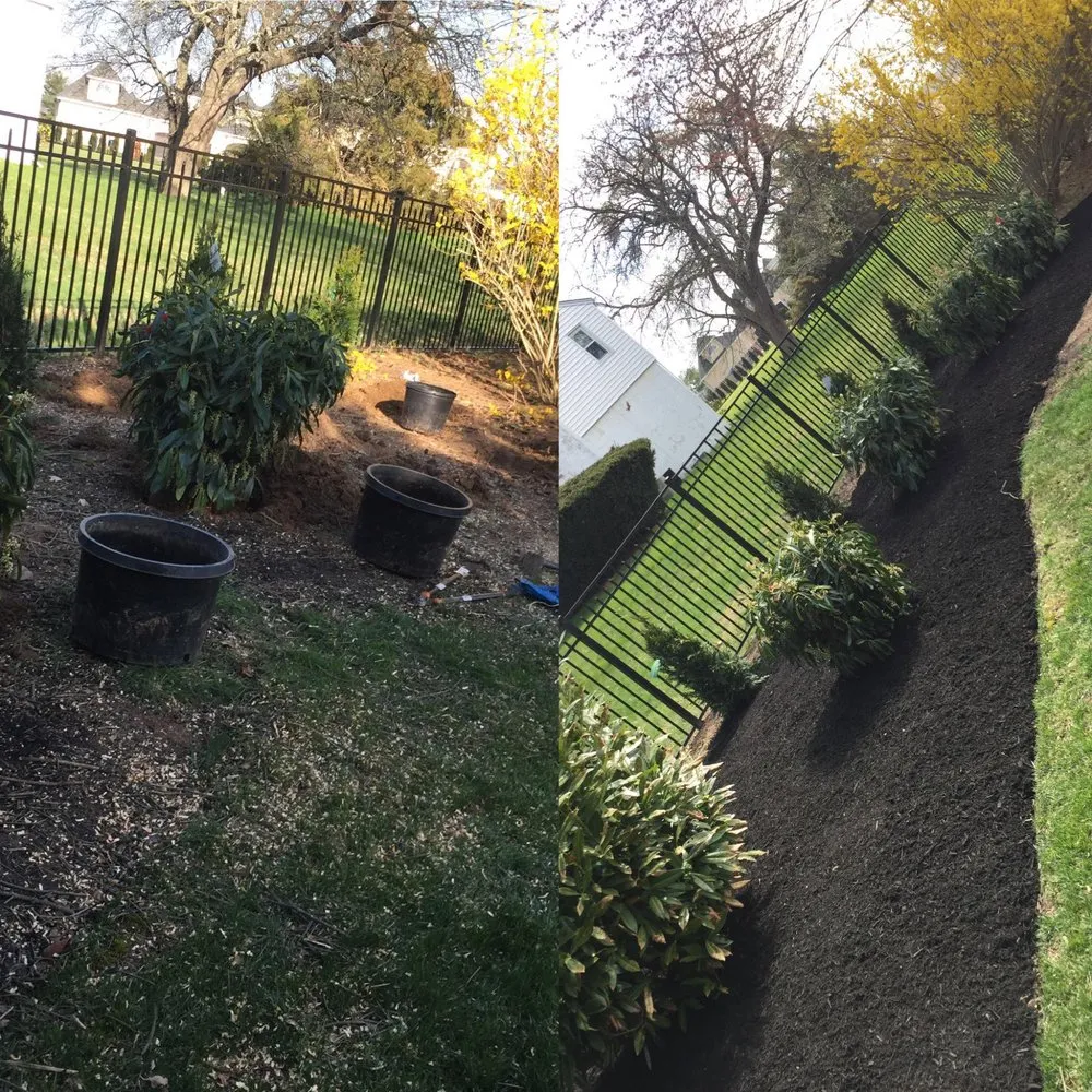 Affordable lawn care service in Doylestown, PA by Barroso's Landscaping & Tree Service