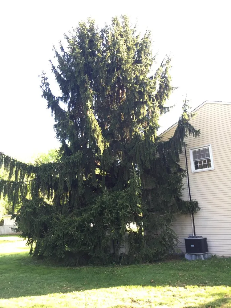 Affordable residential landscaping experts serving Doylestown, PA - Barroso's Landscaping & Tree Service