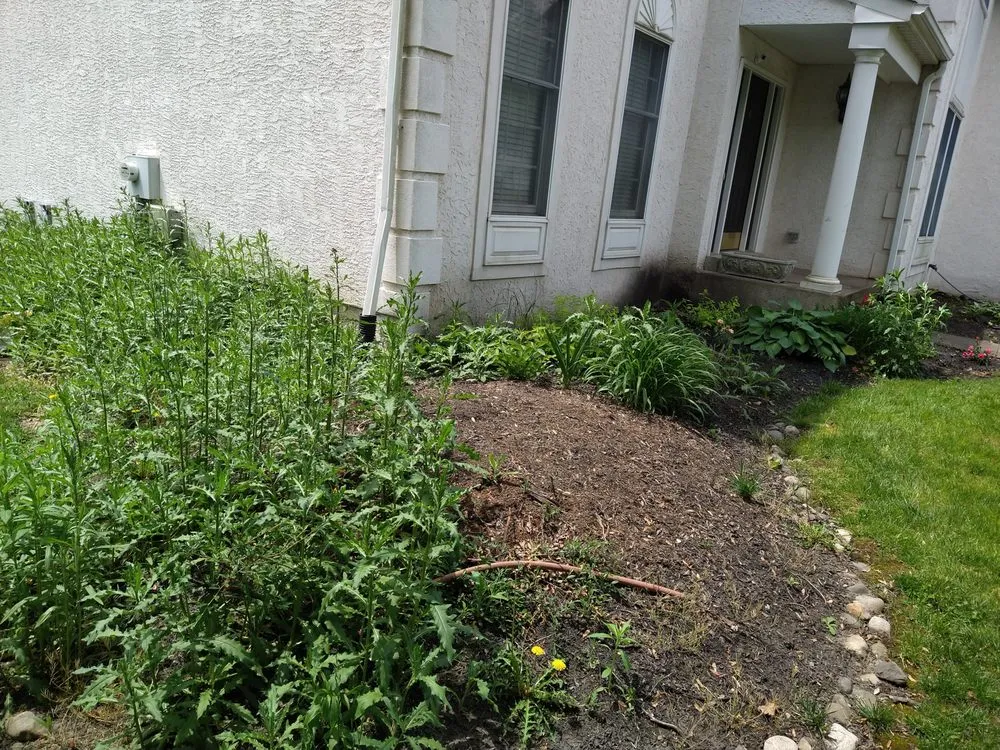 Top-rated yard cleanup service for outdoor upgrades in Doylestown, PA by Barroso's Landscaping & Tree Service