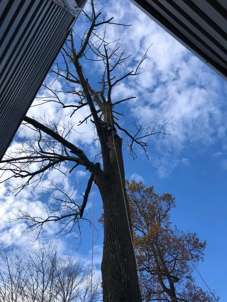 Top-rated outdoor landscaping for year-round maintenance in Doylestown, PA by Barroso's Landscaping & Tree Service