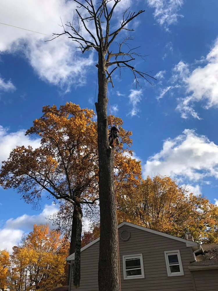 Affordable outdoor landscaping experts serving Doylestown, PA - Barroso's Landscaping & Tree Service