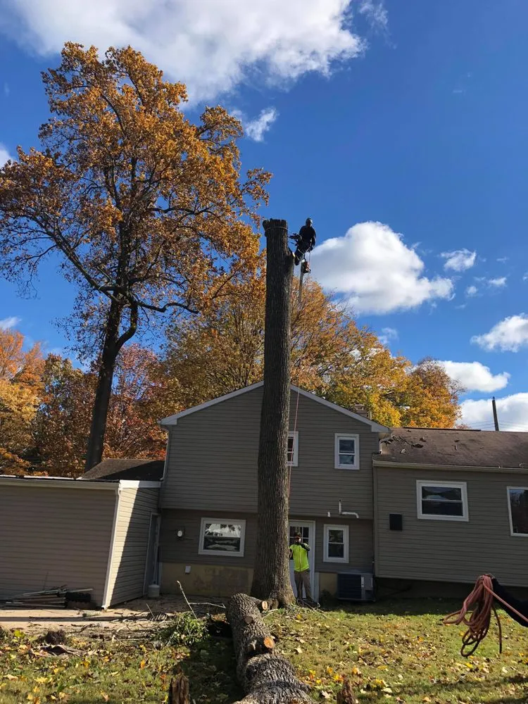 Trusted garden landscaping for outdoor upgrades across Doylestown, PA - Barroso's Landscaping & Tree Service