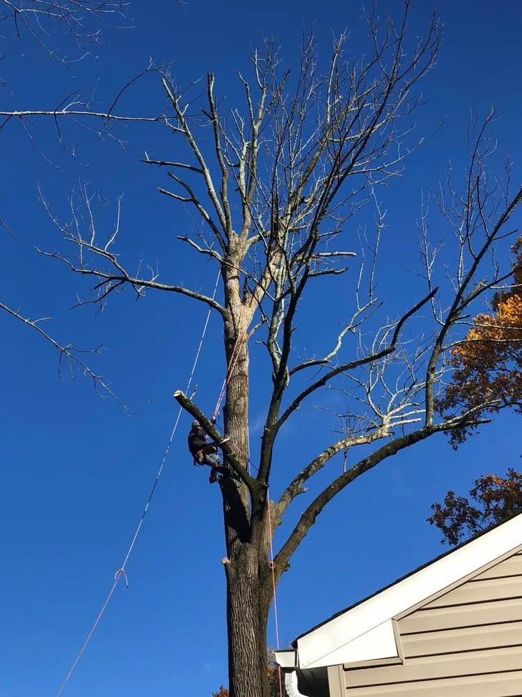 Custom garden landscaping in Doylestown, PA - Barroso's Landscaping & Tree Service