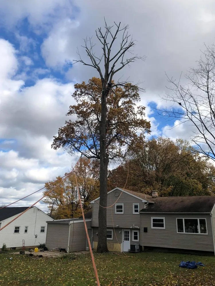 Expert landscape design in Doylestown, PA - Barroso's Landscaping & Tree Service