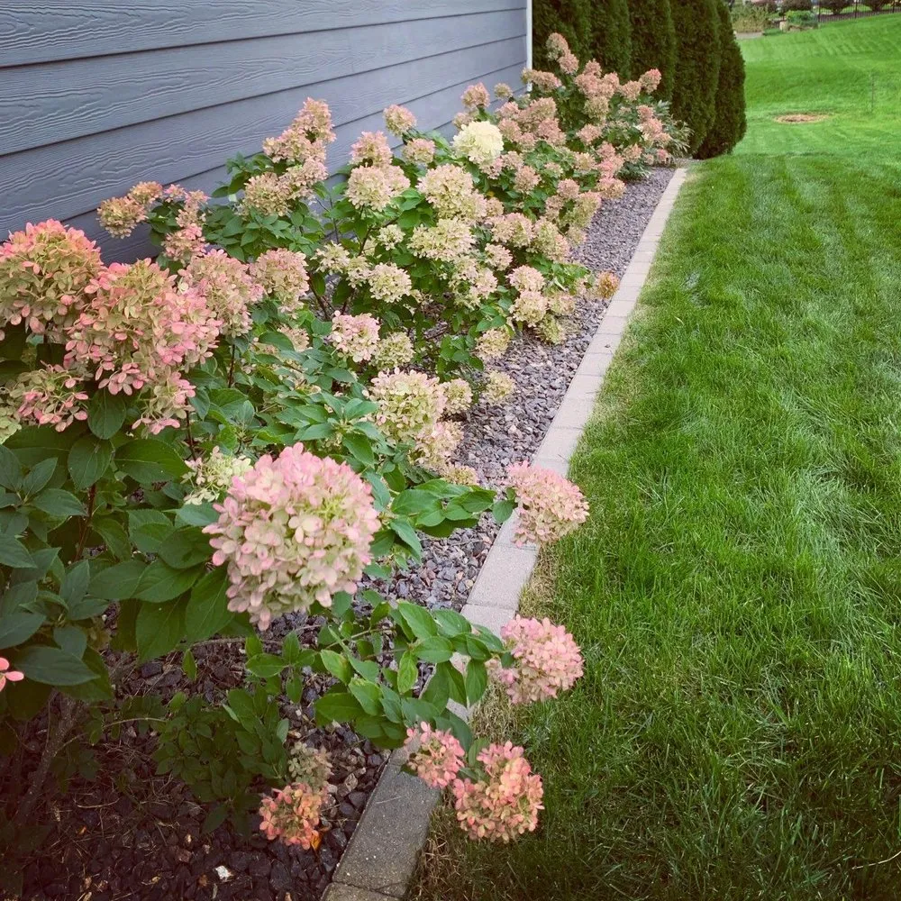 Local yard cleanup service for homes across Washington, IL - Barrow Landscapes