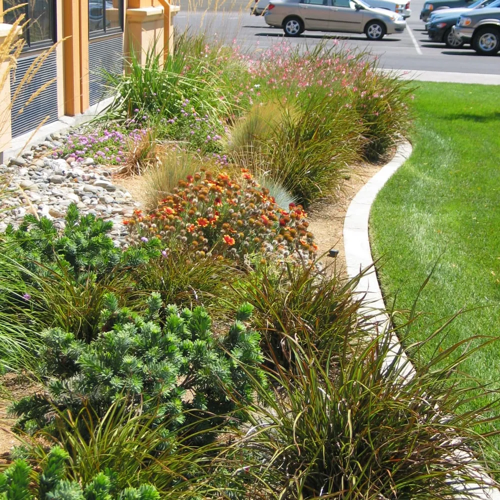 Trusted lawn care service for outdoor upgrades in Yuba City, CA by Barrow's Landscaping