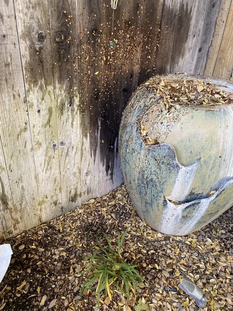 Affordable landscaping services in Yuba City, CA by Barrow's Landscaping