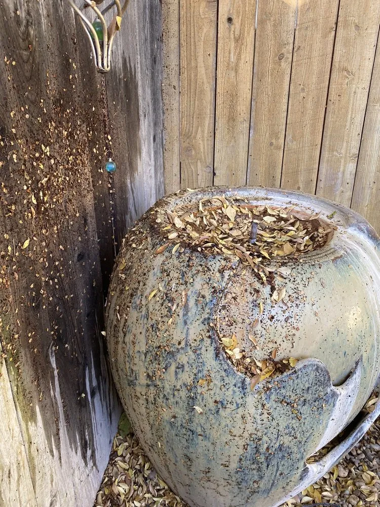 Affordable garden landscaping in Yuba City, CA by Barrow's Landscaping