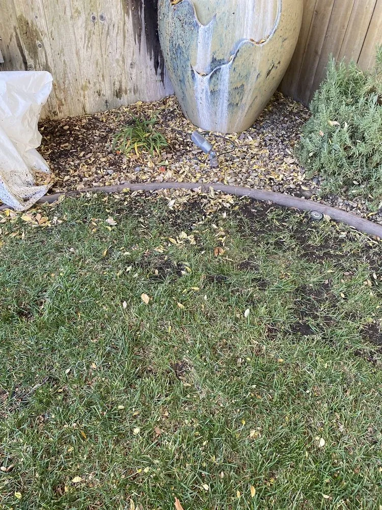 Professional yard cleanup service for homes in Yuba City, CA by Barrow's Landscaping