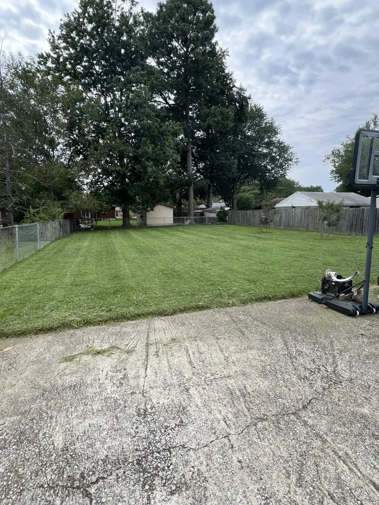 Expert yard cleanup service experts serving Louisville, KY - Barr’s Lawn Care