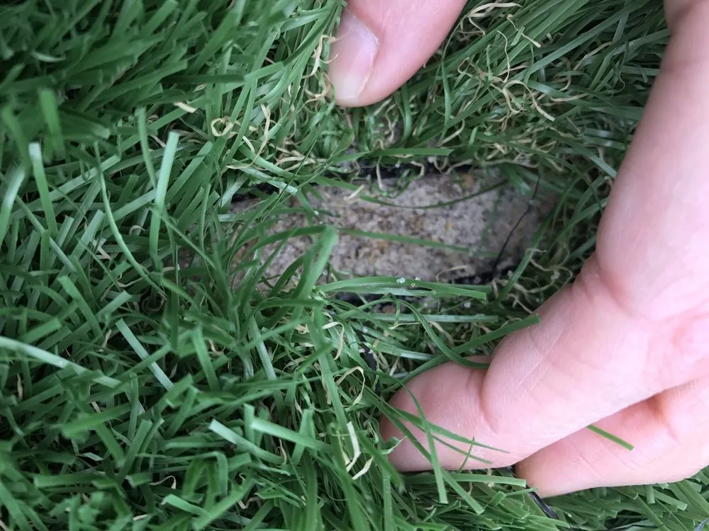 Expert lawn care service in Loomis, CA by Barry Abshear Landscape Services