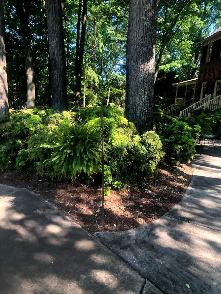 Reliable landscape design for year-round maintenance in Greensboro, NC by Barry Bridges's Lawncare