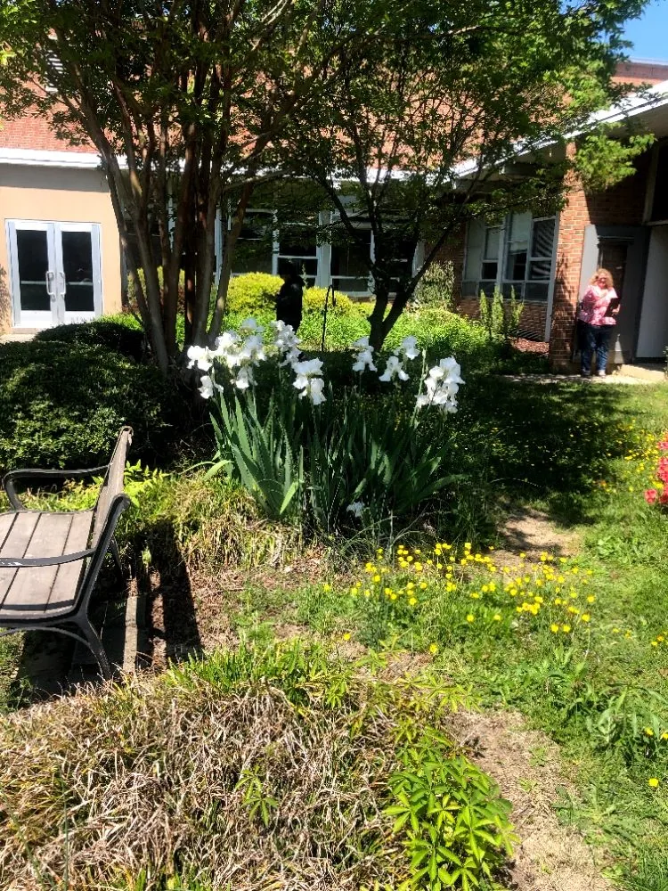 Professional yard cleanup service experts serving Greensboro, NC - Barry Bridges's Lawncare