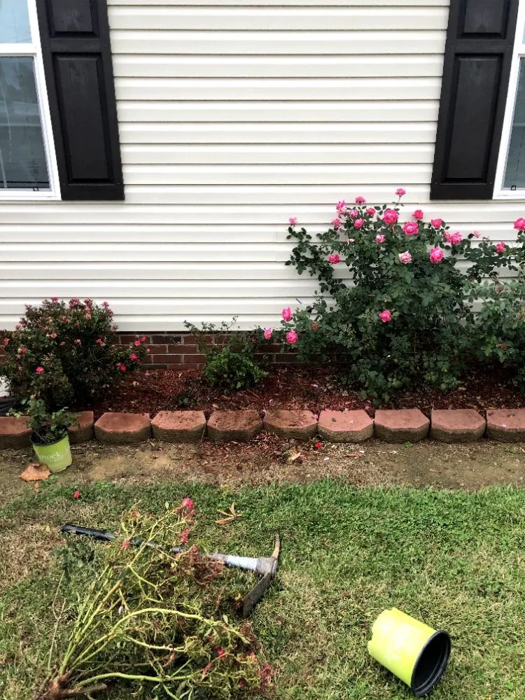 Reliable landscaping services for residential properties in Greensboro, NC by Barry Bridges's Lawncare