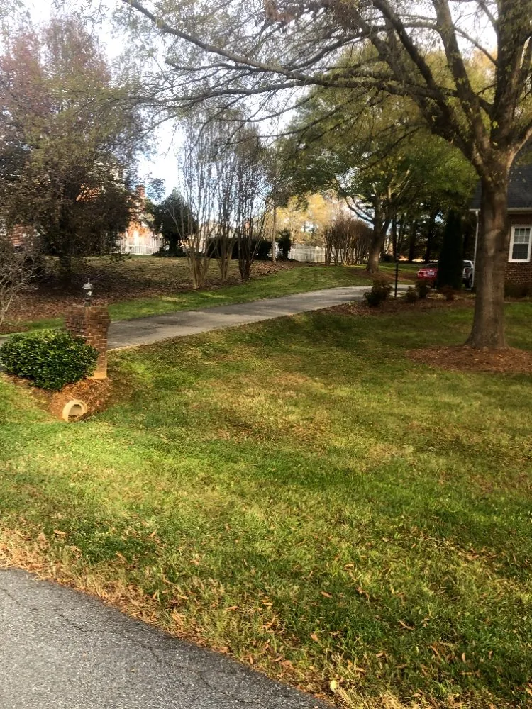 Top-rated landscaping services in Greensboro, NC by Barry Bridges's Lawncare